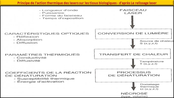 Diapositive11